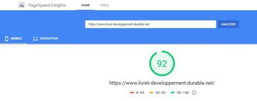 Google PageSpeed