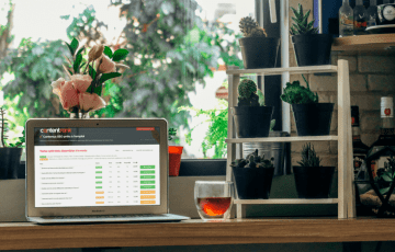 Content Rank : des contenus SEO prêts à l'emploi
