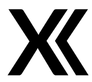 Logo XStore