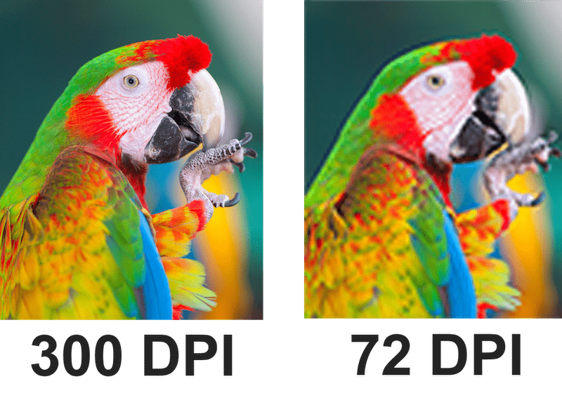 300 DPI et 72 DPI différence de qualité