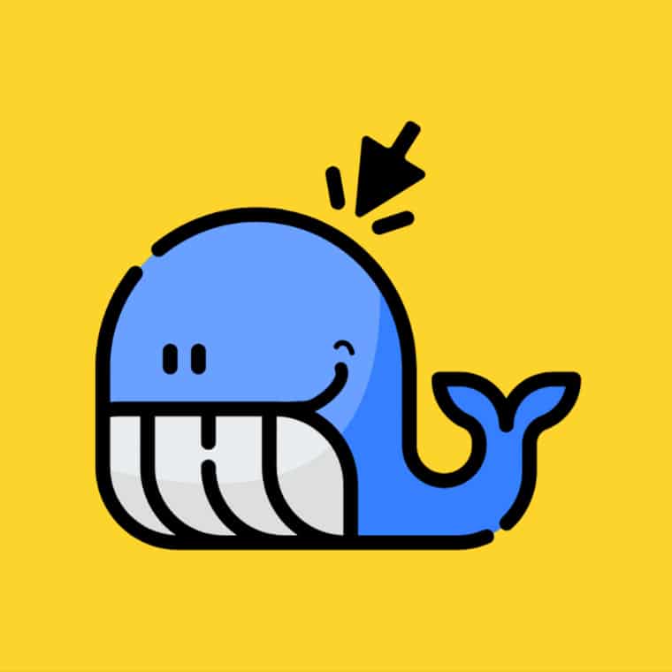 ClickWhale -40%