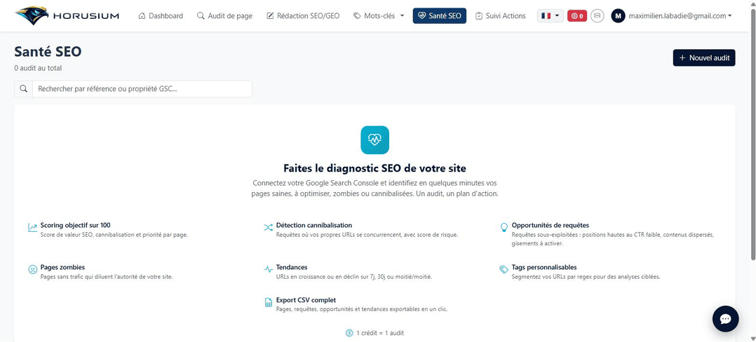 Module Santé SEO de Horusium connecté à la Google Search Console pour détecter les pages zombies et la cannibalisation